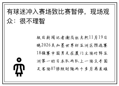 有球迷冲入赛场致比赛暂停，现场观众：很不理智