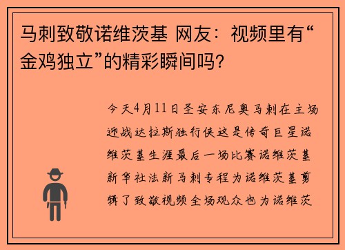 马刺致敬诺维茨基 网友：视频里有“金鸡独立”的精彩瞬间吗？